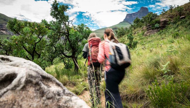 Südafrika - Drakensberge & Safari im Nordosten