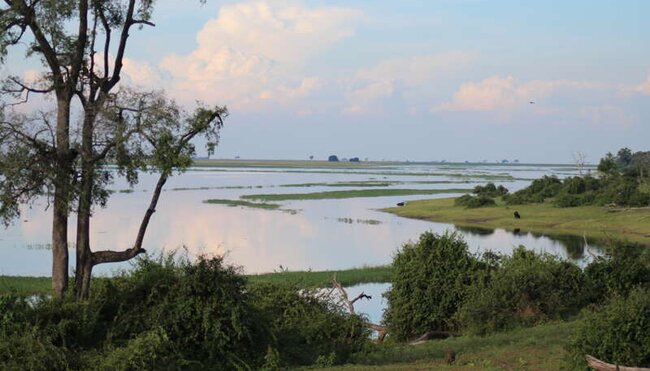 Botswana mit Egmont Strigl - Das grüne Herz der Kalahari Botswana mit Egmont Strigl - Das grüne Herz der Kalahari