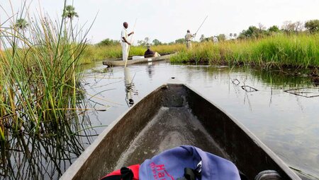 Botswana mit Egmont Strigl - Das grüne Herz der Kalahari Botswana mit Egmont Strigl - Das grüne Herz der Kalahari