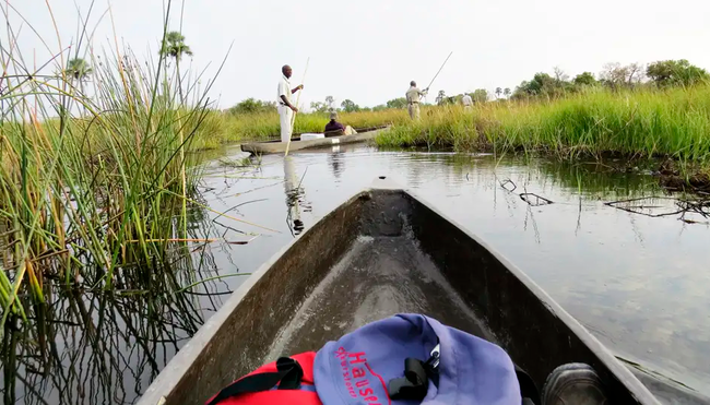 Botswana mit Egmont Strigl – Das grüne Herz der Kalahari