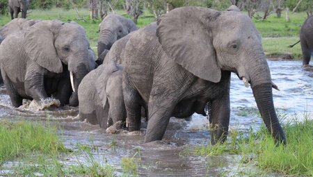Botswana, Simbabwe - Okavango Delta, Big Five & Victoriafälle Botswana, Simbabwe - Okavango Delta, Big Five & Victoriafälle