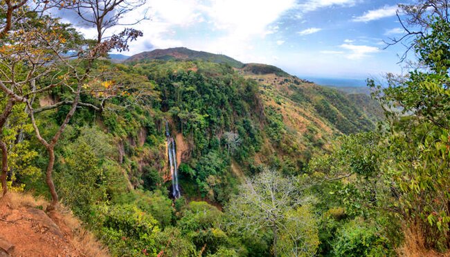 Malawi - Mulanje-Massiv, Safari & Lake Malawi Malawi - Mulanje-Massiv, Safari & Lake Malawi