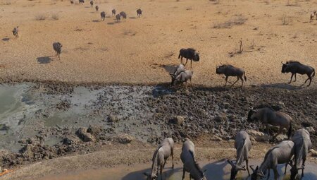 Namibia - Wüstenimpressionen und Tiervielfalt Namibia - Wüstenimpressionen und Tiervielfalt