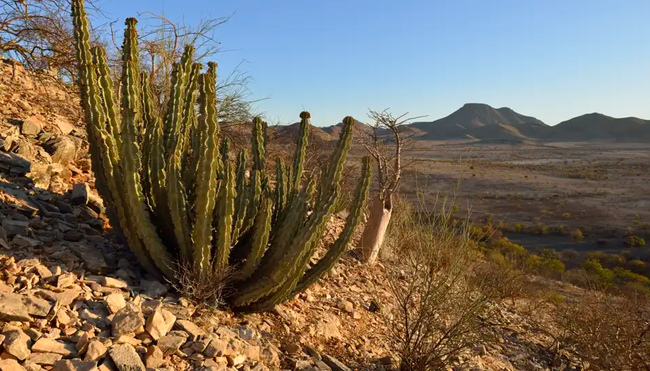 Namibia mit Egmont Strigl – Reise durch die Namib Wüste