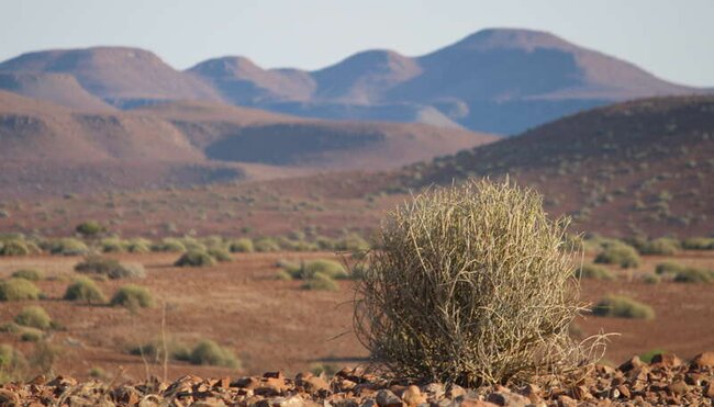 Namibia - Höhepunkte zwischen Kalahari und Namib