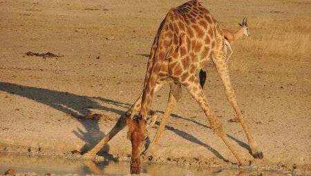 Namibia - Höhepunkte zwischen Kalahari und Namib