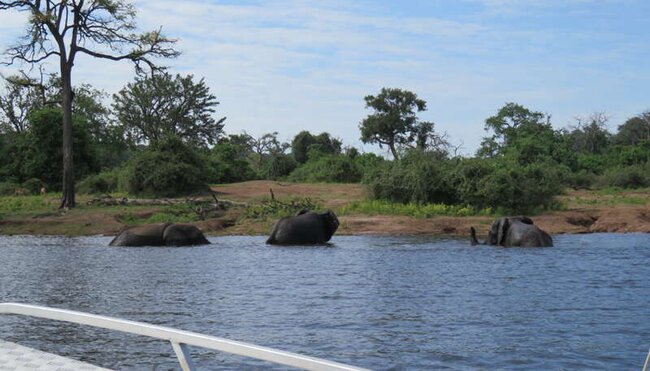 Namibia, Botswana - Erongo-Gebirge, Safari und Viktoriafälle
