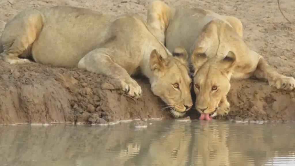 Namibia, Botswana – Erongo-Gebirge, Safari und Viktoriafälle