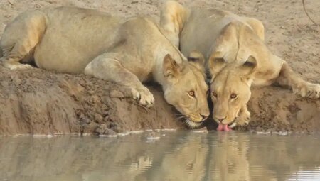 Namibia, Botswana – Erongo-Gebirge, Safari und Viktoriafälle