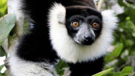 Madagaskar - MTB Reise vom Hochland bis zur Küste