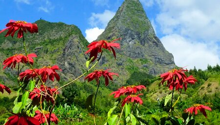La Réunion - Vulkantrekking im Indischen Ozean