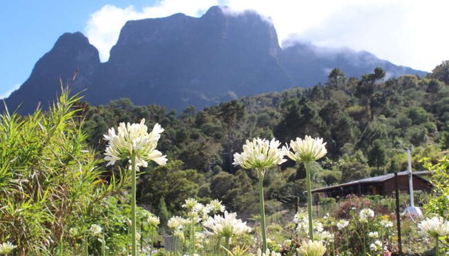 La Reunion - Wandern im Tropischen Europa La Reunion - Wandern im Tropischen Europa