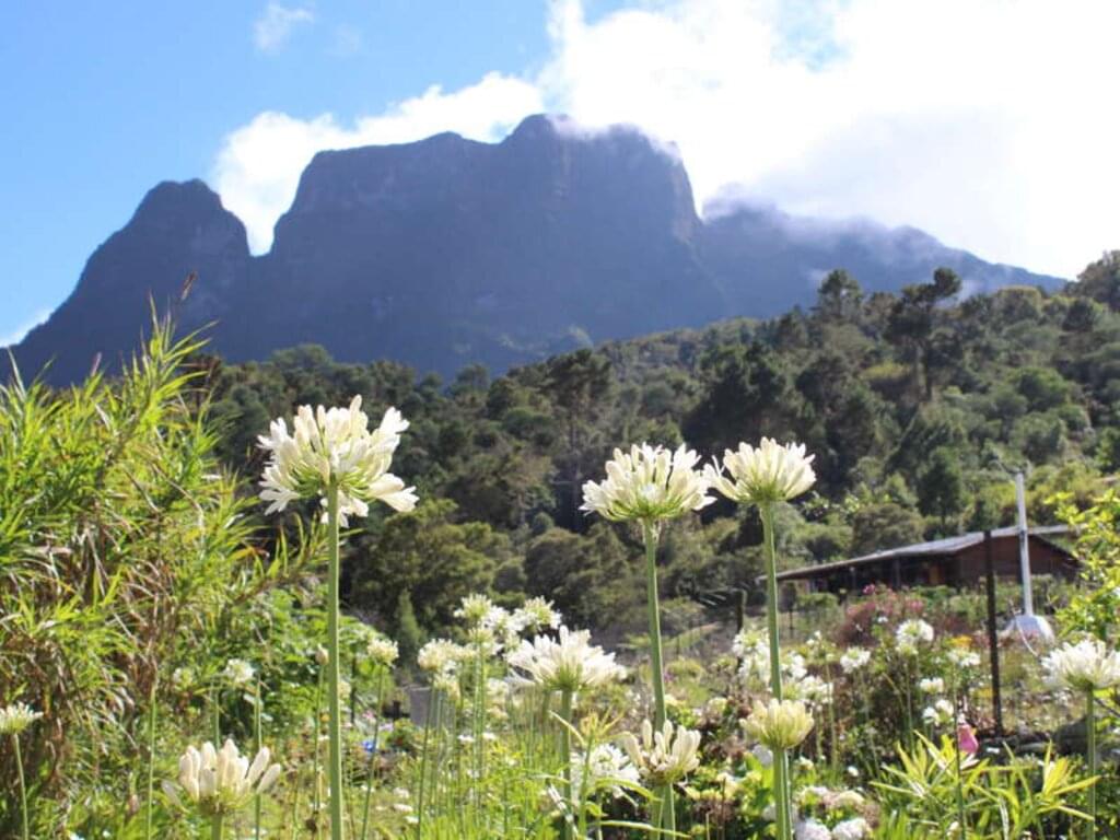 La Reunion