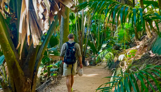Seychellen - Naturwunder zwischen Traumstränden und Granitfelsen