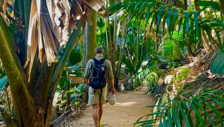 Seychellen - Naturwunder zwischen Traumstränden und Granitfelsen