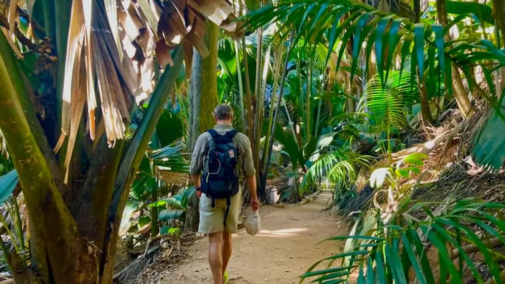 Seychellen - Naturwunder zwischen Traumstränden und Granitfelsen