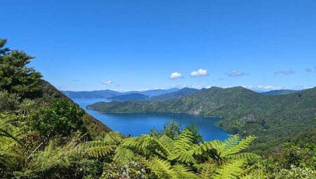 Neuseeland - Trekking Routeburn, Heaphy & Abel Tasman