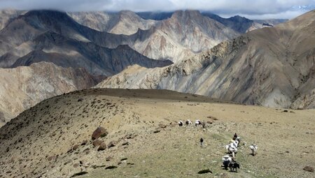 Indien - Das Erbe des Dalai Lama in Klein Tibet entdecken