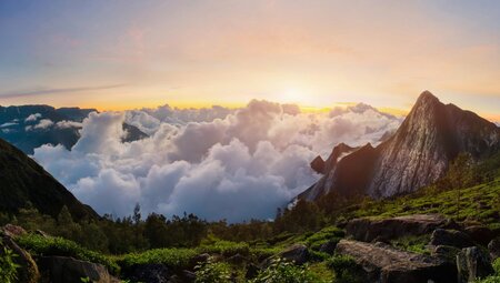 Indien - Geheimnisvolles Bergland von Kerala