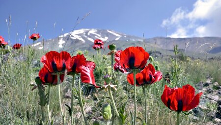 Iran - Damavand,  höchster Berg des Orients