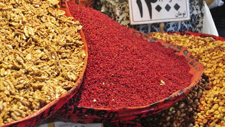 Iran - Vom Persischen Golf zum Kaspischen Meer