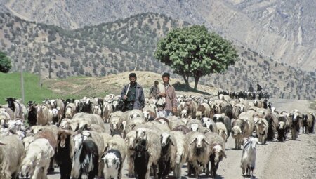 Bakhtiari Nomaden im Bazoft Tal
