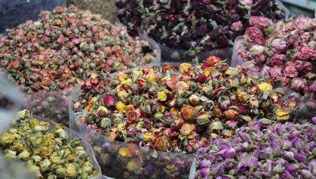 Iran - Auf Nomadenpfaden durch Persiens Gebirge