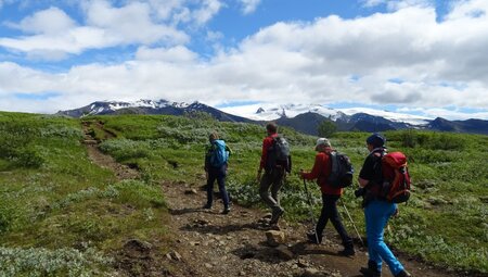 Wandern in Skaftafell