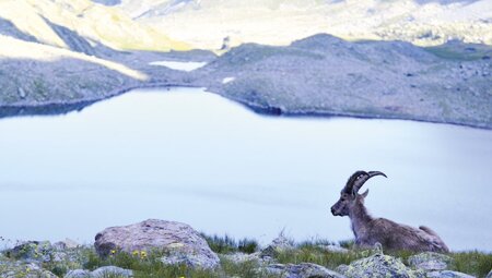Wanderungen mit Hotelstützpunkt im Valle Stura/Piemont