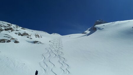 Val di Sole - Skitourenwoche südl. Ortlergruppe und Adamello