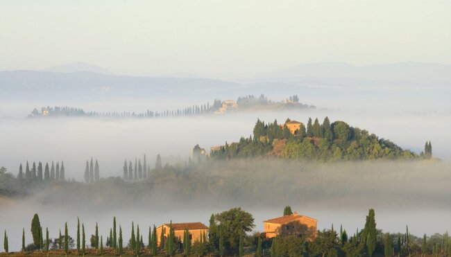 Podere, Bauernhaus, Zypressen, Morgennebel, Toskana, Italien