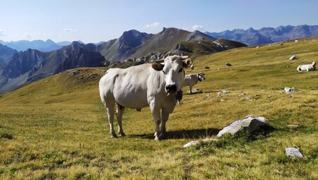 Italien Piemont - E-Bike Erlebnis in den wunderbaren Monviso Tälern