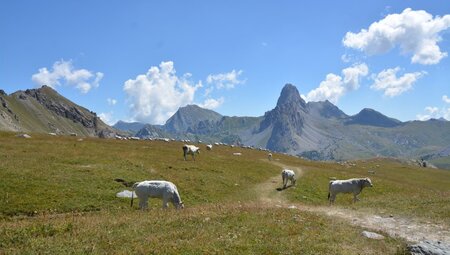 Italien Piemont - E-Bike Erlebnis in den wunderbaren Monviso Tälern
