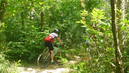 Radreise Toskana_im Wald von hinten_ITM08