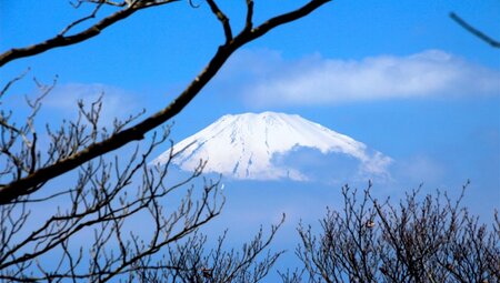 Blick auf den Fuji