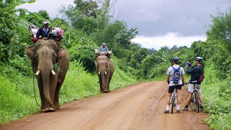 Drahtesel trifft Reitelefant