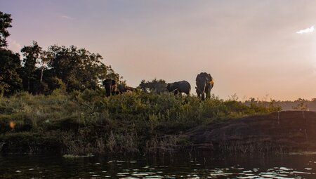 Sri Lanka - Auf neuen Trails durchs Tropische Wanderparadies