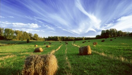 Naturidylle in Lettland