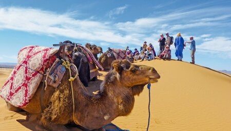 Unterwegs mit Kamelen