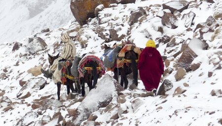 Dorfbewohner auf dem Winterpfad am Toubkal