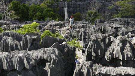 Madagaskar - Makis, Tsingys, Baobabs grauer Tsingy_2