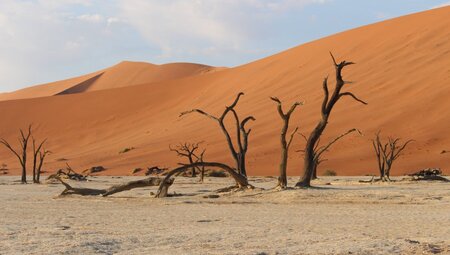 NamibiaDeadvleiDünen