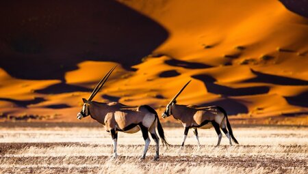 Namibia - Stille und Unendlichkeit des Südens
