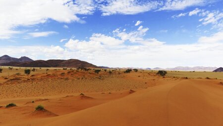 Namibia - Zwischen Dünen im Federkissen