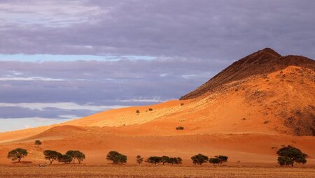 Namibia - Zwischen Dünen im Federkissen