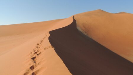 Namibia - Zwischen Dünen im Federkissen