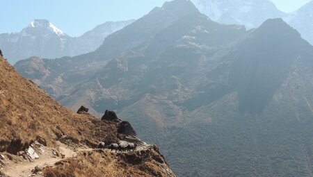 Höhenweg von Pangpoche nach Phortse