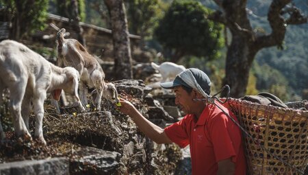 Nepal – Annapurna Circuit Lodge-Trek