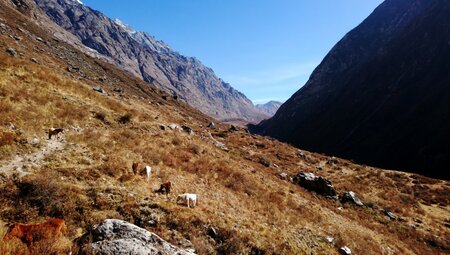 Nepal – Climate Trek Langtang