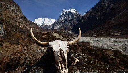 Nepal – Climate Trek Langtang
